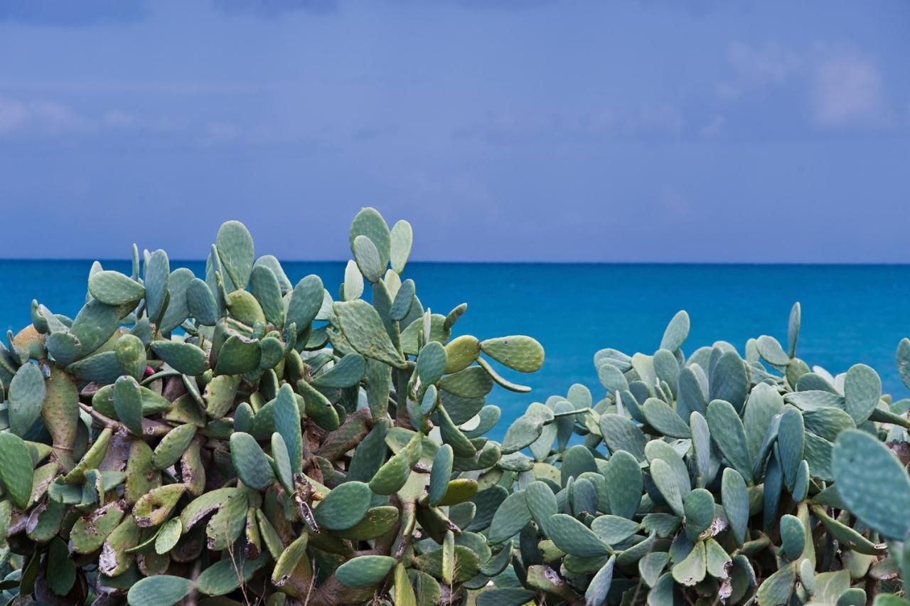 Apartmán La Terrazza Di Puglia Conversano Exteriér fotografie